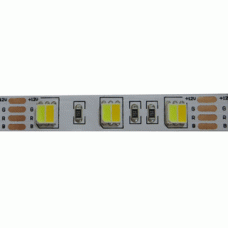 12V Лента 5050 duo color 60/m (ЦЕНА ЗА 1МЕТР) IP20